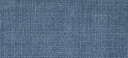 36 ct. WDW Blue jeans