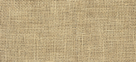 30 ct. WDW Parchment