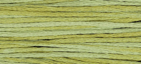 Scuppernong WDW 2196