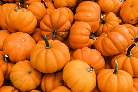 18 ct. FOTM OCTOBER Pumpkin Aida - Fiber on a Whim