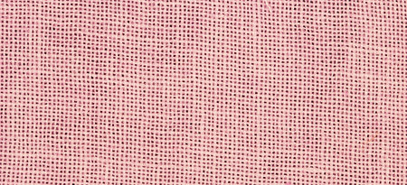 32 ct. WDW Blush
