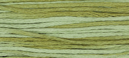 Dried Sage WDW 1191