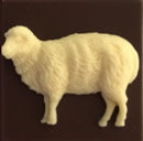 Needleminder Sheep Square