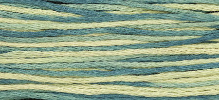 Eucalyptus WDW 2146