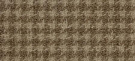 Parchment Hounds Tooth
