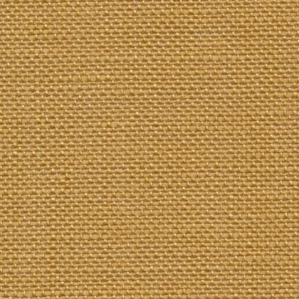 Mustard 32 ct. Belfast 3123