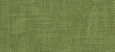 32 ct. WDW Scuppernong
