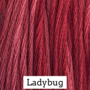 Ladybug- CCW