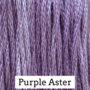 Purple Aster CCW