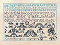 Caroline Macy 1832- Queenstown Sampler Designs