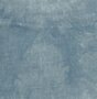 40 ct. Atomic Ranch-Light Denim
