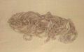 Chenille Scorched Linen - Dames of the Needle