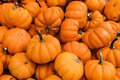 18 ct. FOTM OCTOBER  Pumpkin Aida - Fiber on a Whim