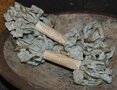 Aged Ribbon - Blue Willow