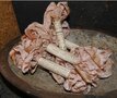 Aged Ribbon - Blush