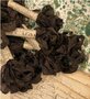 Aged Ribbon - Mocha