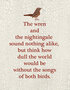 Wren Sampler - Teresa Kogut
