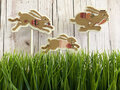 Bunny Thieves - Teresa Kogut